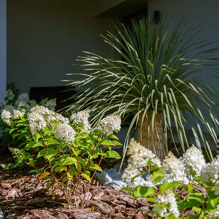 公寓 Rozewska 30 *