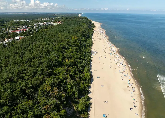 Rozewska 30 公寓 Jastrzębia Góra