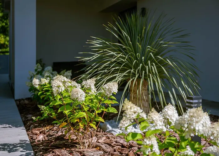 Lejlighed Rozewska 30 *