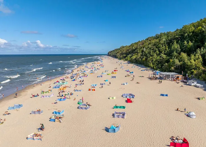 Rozewska 30 公寓 *